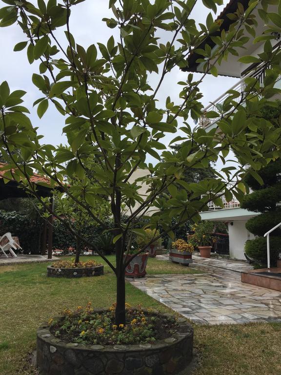Litsa Haus Estate Residences *