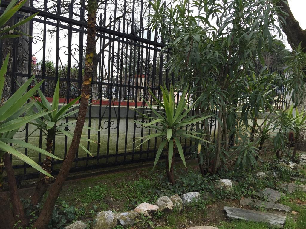 Litsa Haus Estate Residences Apartment
